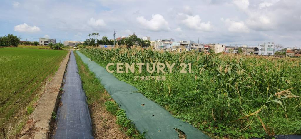 湖口鄉優品美農+合法資材室(B)