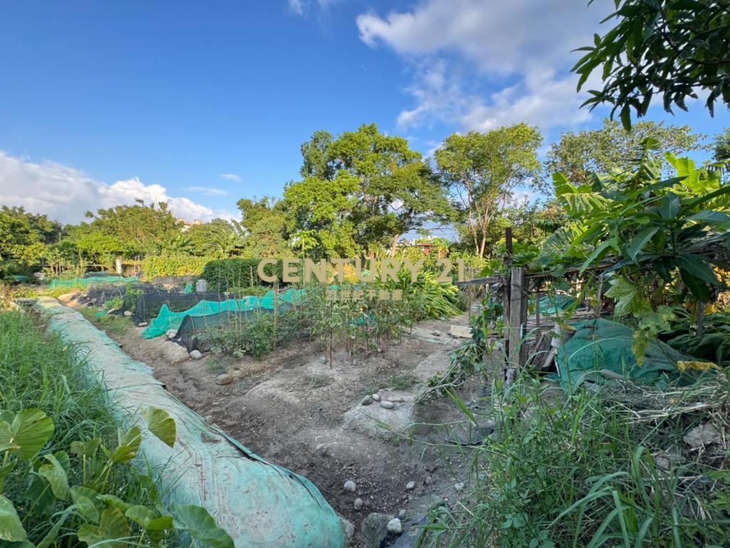 近中壢體育園區都內農龍慈路全聯旁無臨路