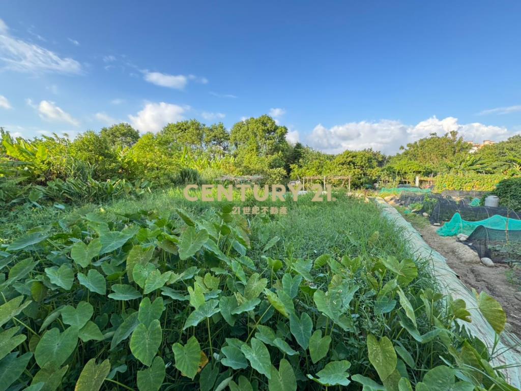 近中壢體育園區都內農龍慈路全聯旁無臨路