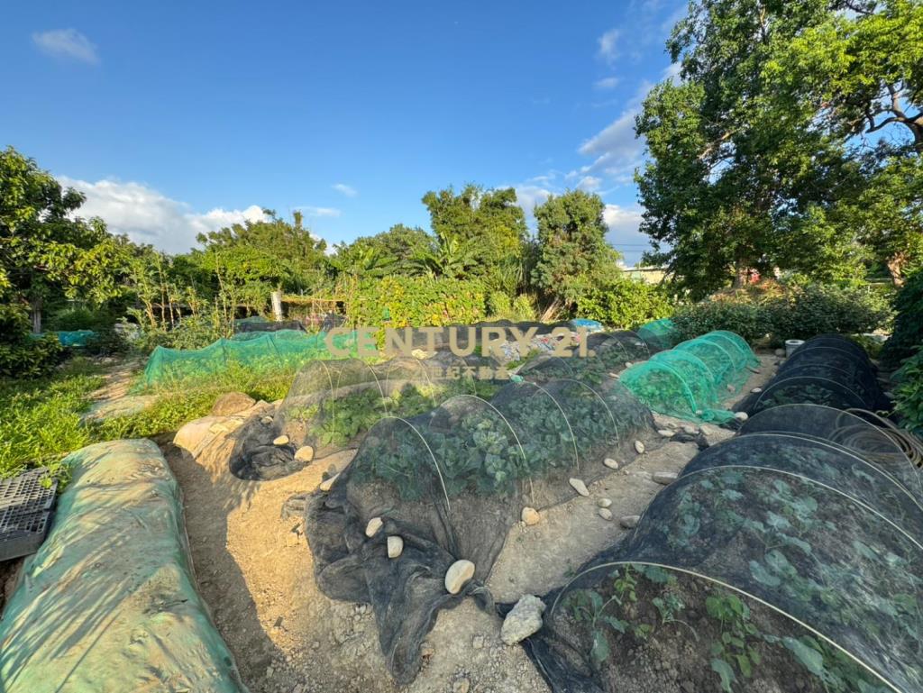 近中壢體育園區都內農龍慈路全聯旁無臨路