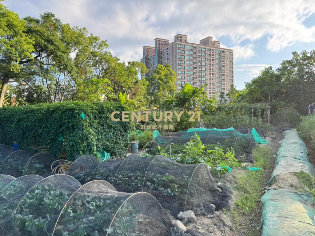 近中壢體育園區都內農龍慈路全聯旁無臨路