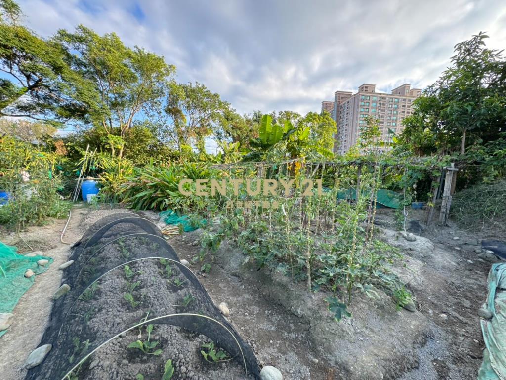 近中壢體育園區都內農龍慈路全聯旁無臨路