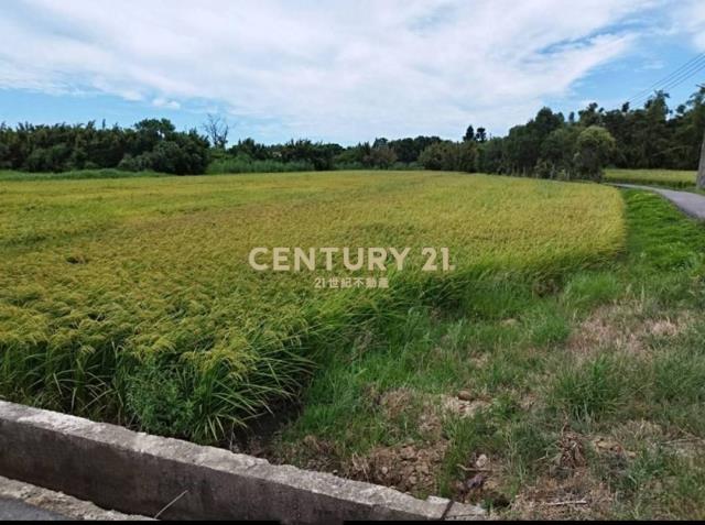 新屋永安漁港近台61線一般農 