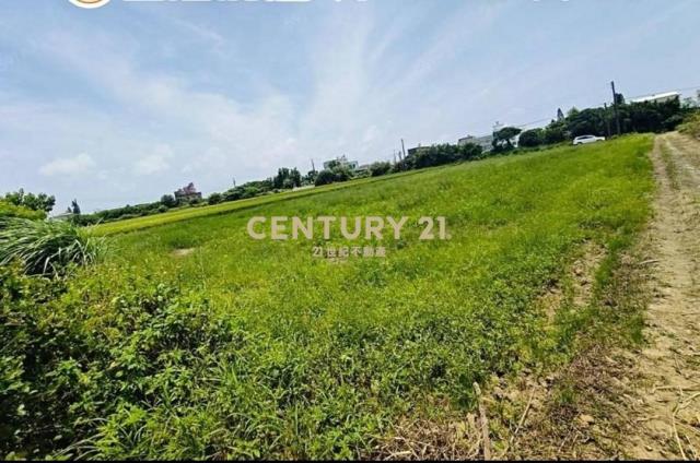 觀音市區稀有都內農(甘泉段)