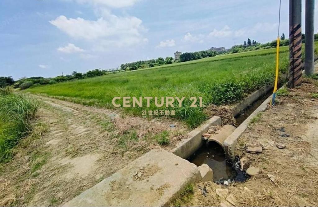 觀音市區稀有都內農(甘泉段)