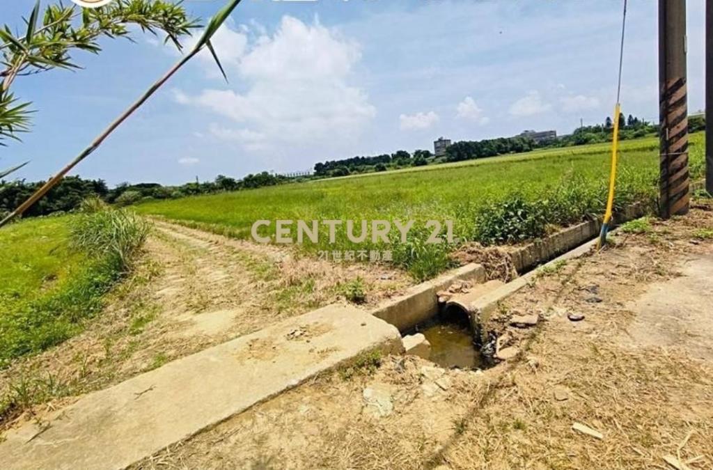 觀音市區稀有都內農(甘泉段)