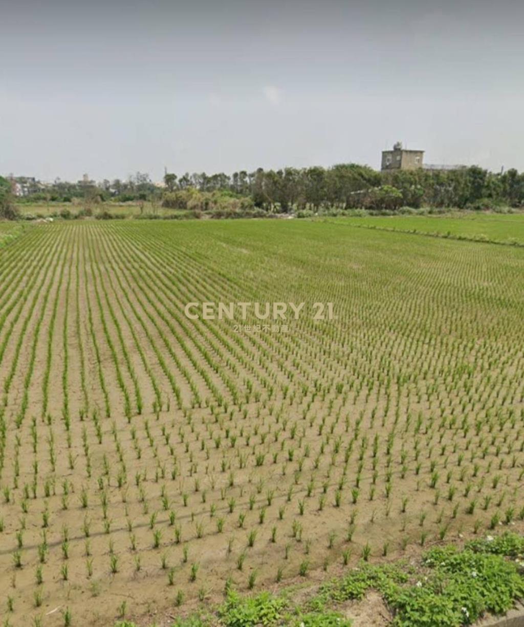 觀音市區稀有都內農(甘泉段)