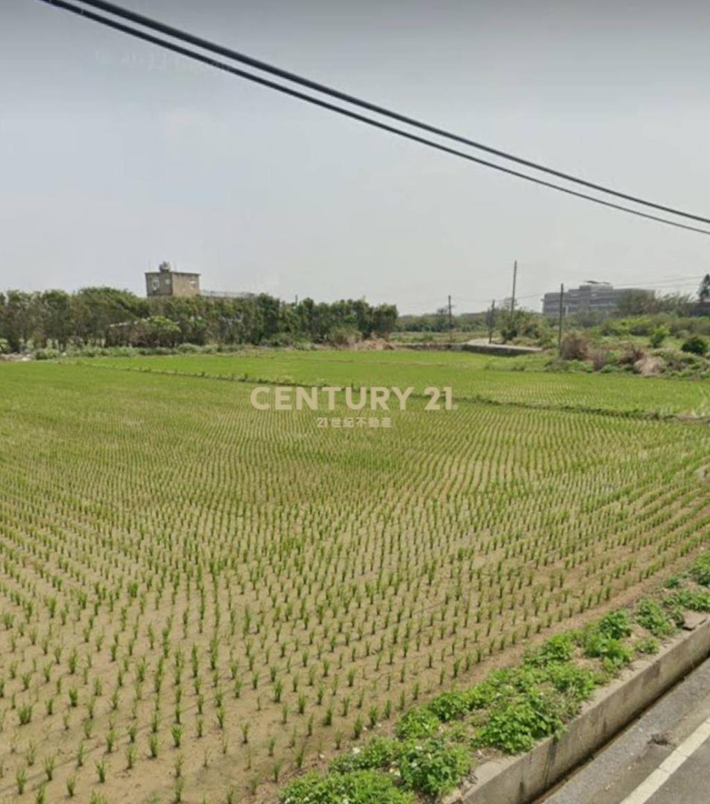 觀音市區稀有都內農(甘泉段)