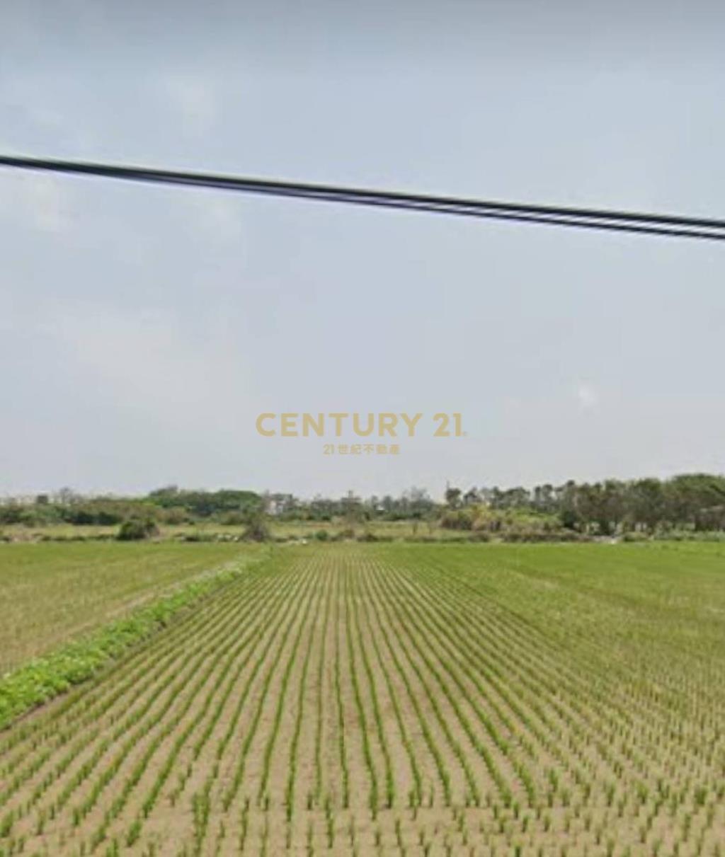 觀音市區稀有都內農(甘泉段)