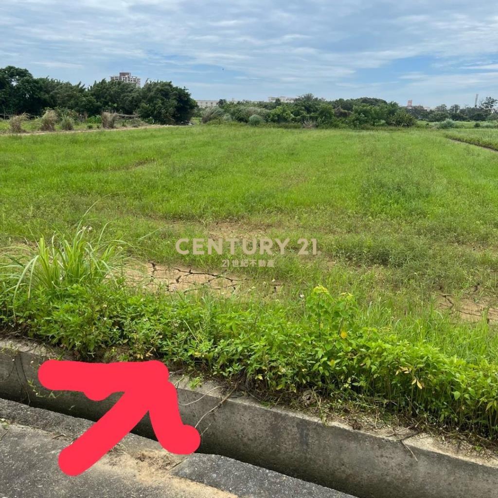 觀音市區稀有都內農(甘泉段)