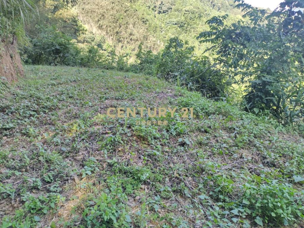 新竹五峰景觀原保地