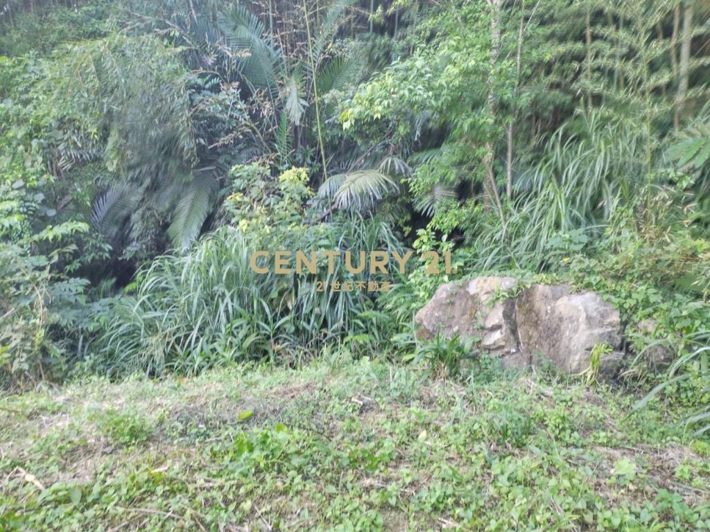 新竹五峰景觀原保地