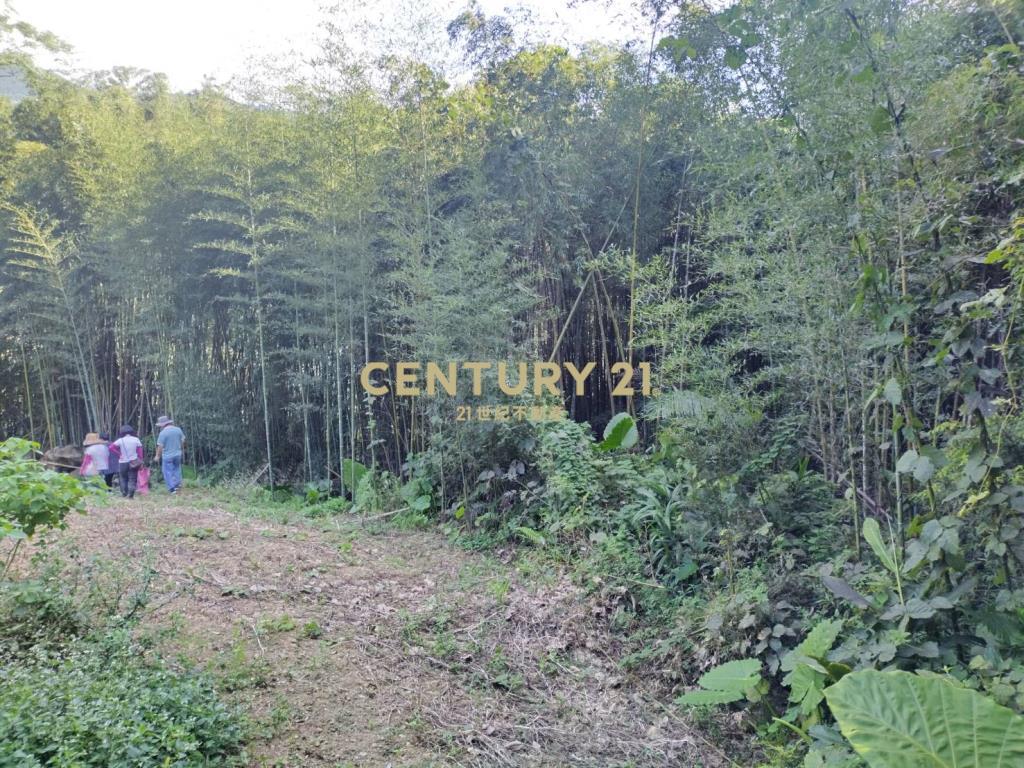 新竹五峰景觀原保地