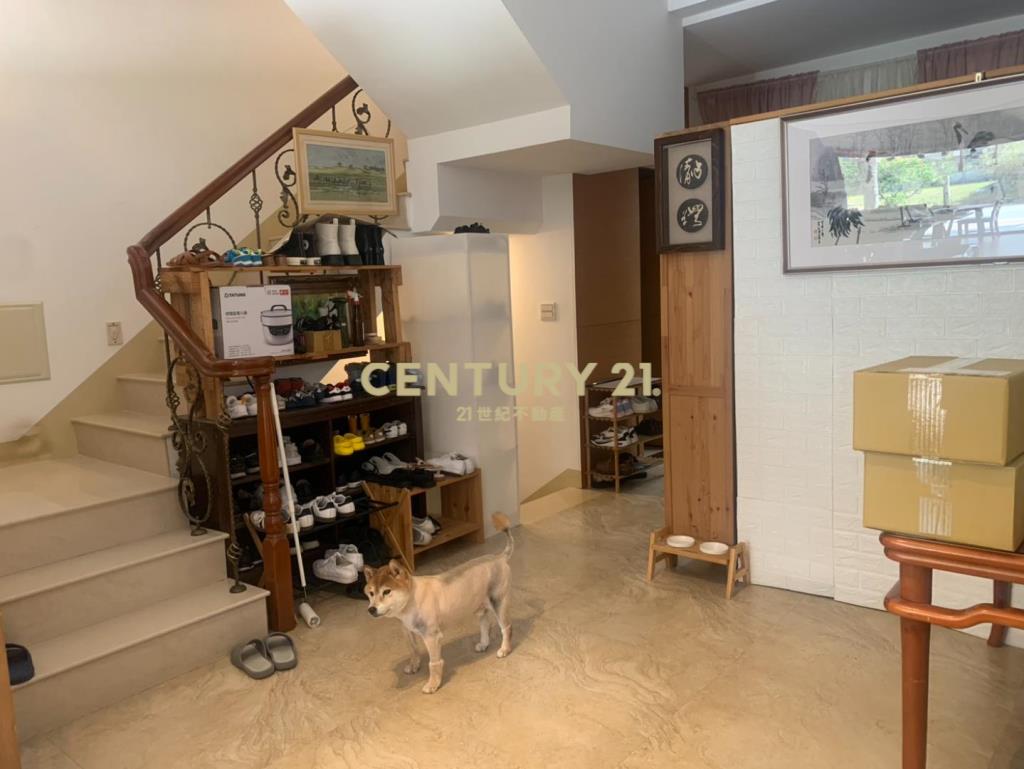 青埔A19青塘園百坪豪華店墅