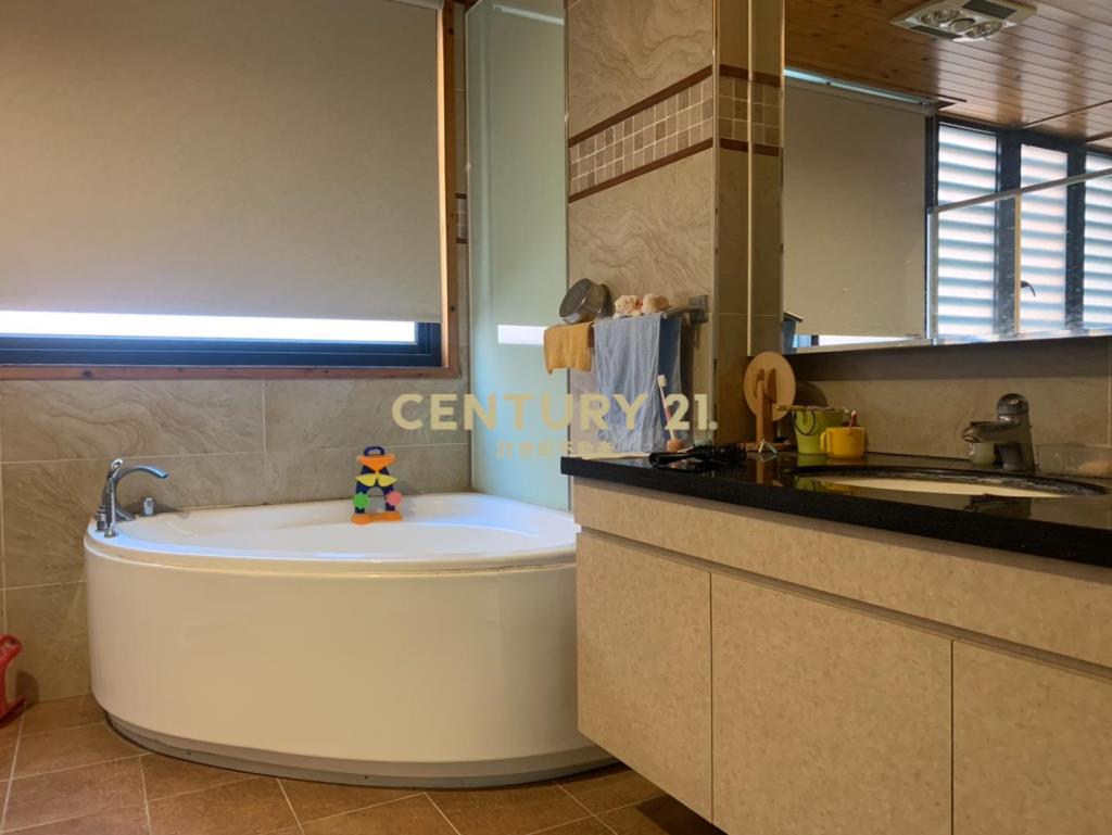 青埔A19青塘園百坪豪華店墅