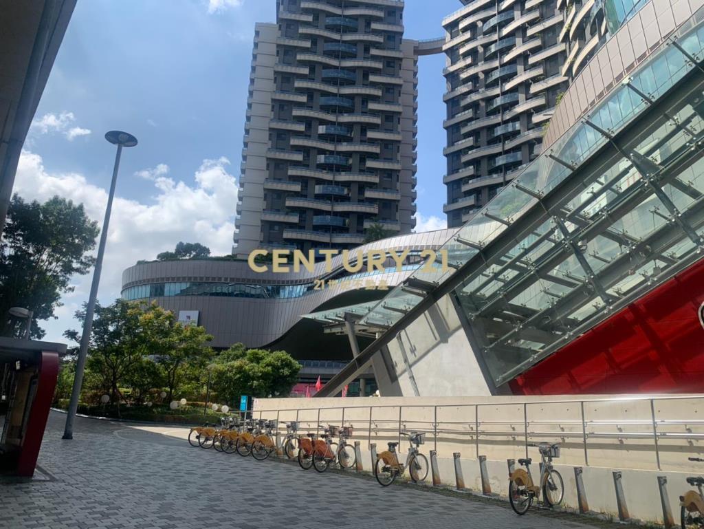 青埔A19青塘園百坪豪華店墅