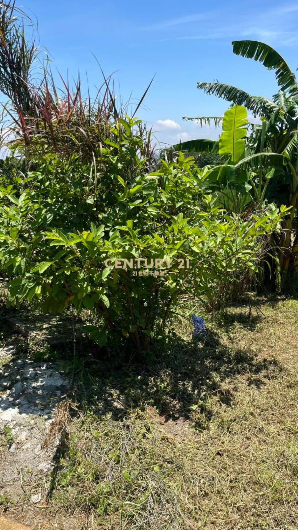 新屋中山西路美農+合法資材室