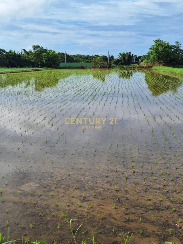 楊梅近三元宮大面寬美田