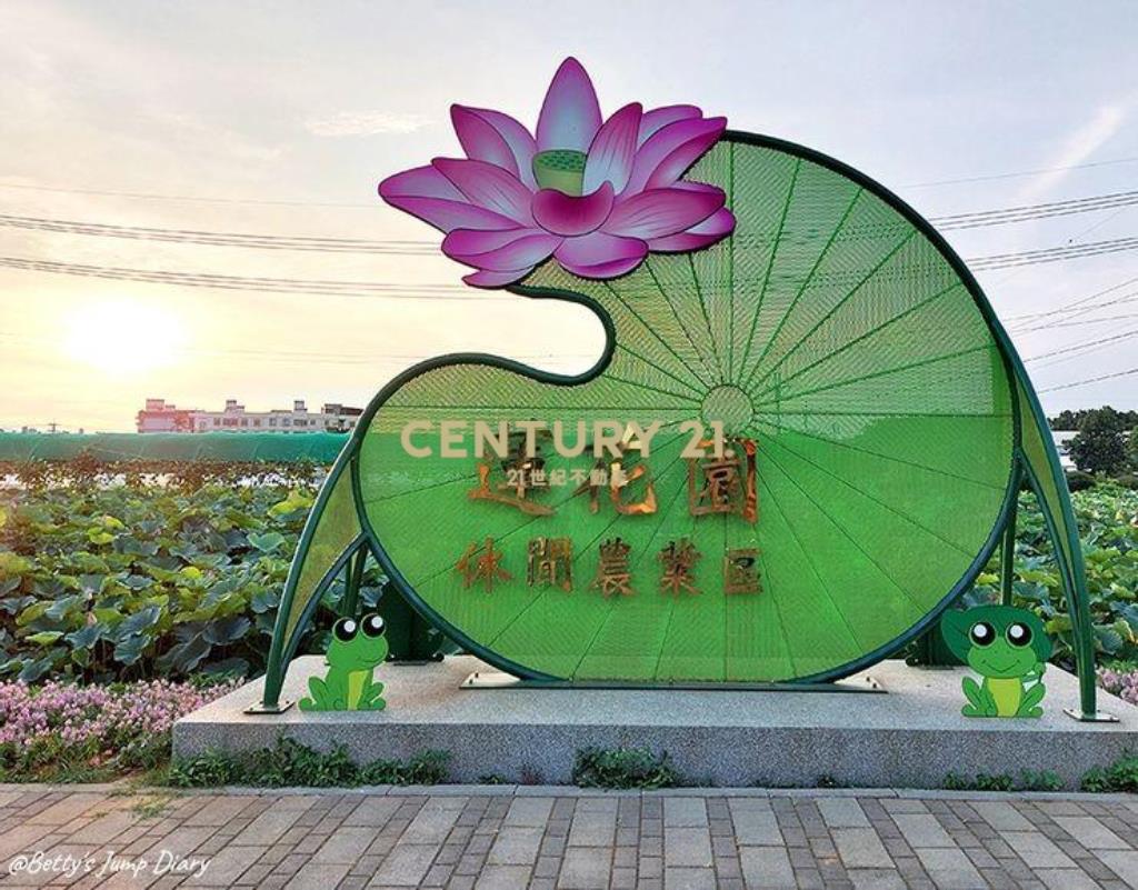新坡觀光蓮花園雙面路農地