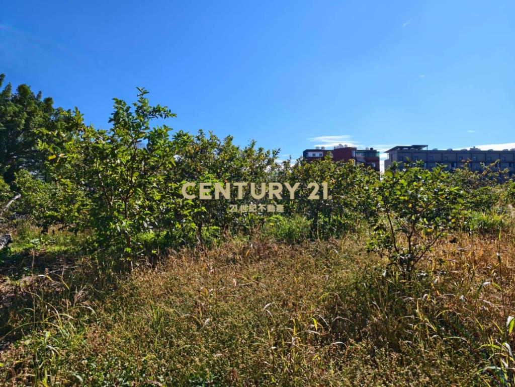 國3大溪交流道一般農臨20米路-大面寬