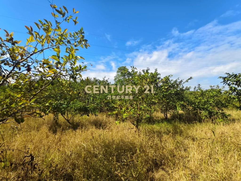 國3大溪交流道一般農臨20米路-大面寬