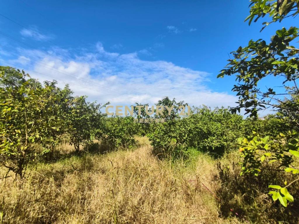 國3大溪交流道一般農臨20米路-大面寬