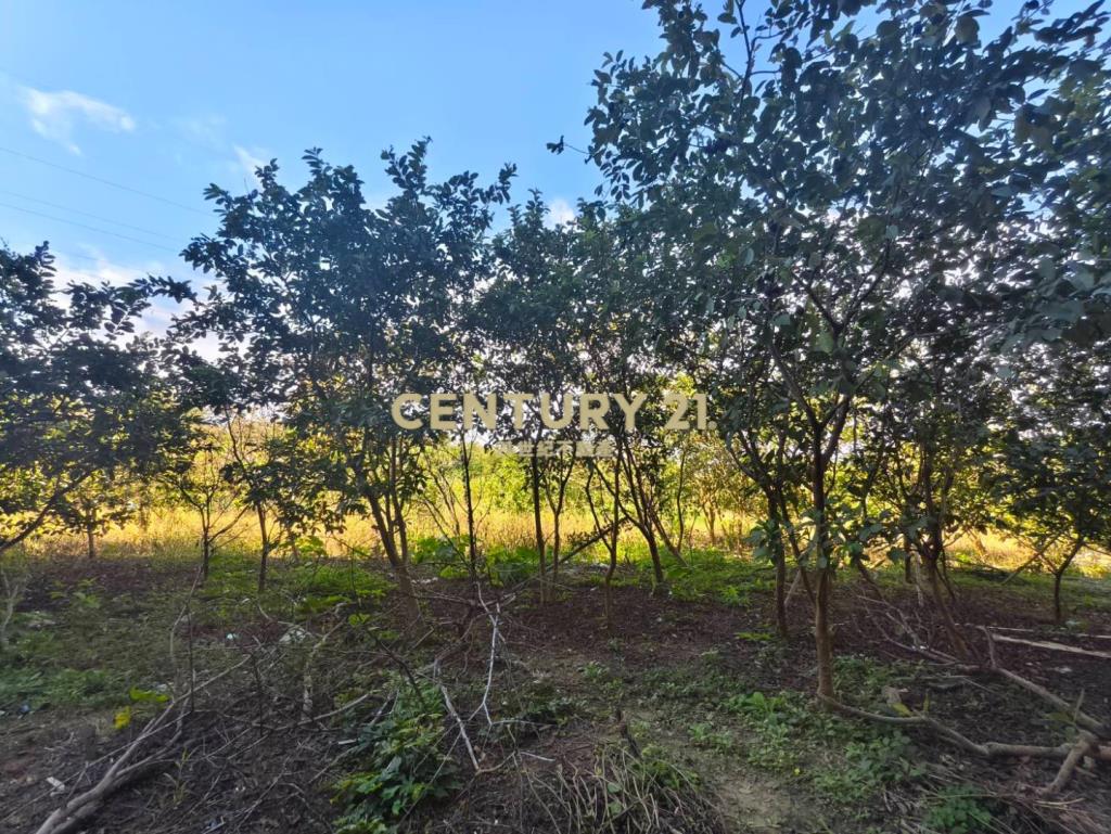 國3大溪交流道一般農臨20米路-大面寬