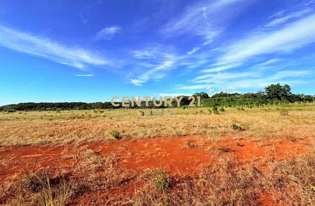 國際大廠匯集產專園區_大面積工業地釋出