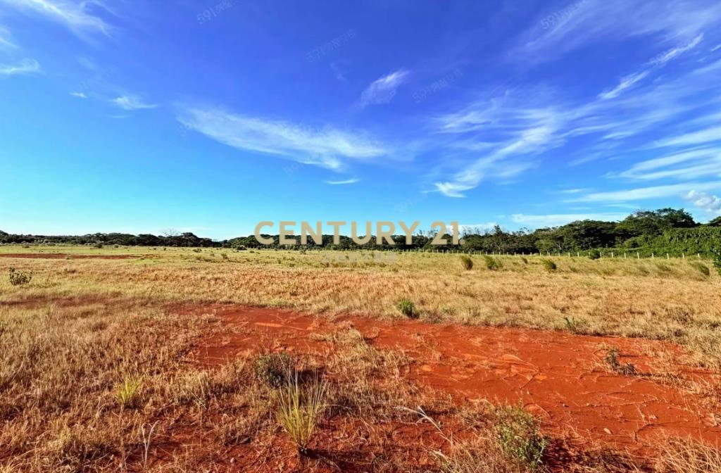 國際大廠匯集產專園區_大面積工業地釋出