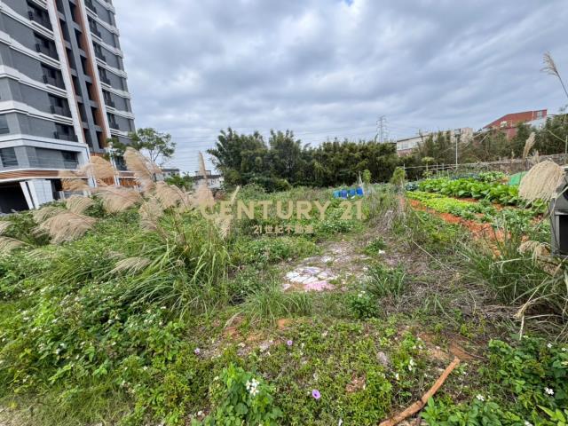 專任龍潭小坪數持分農地成功路近中興商圈