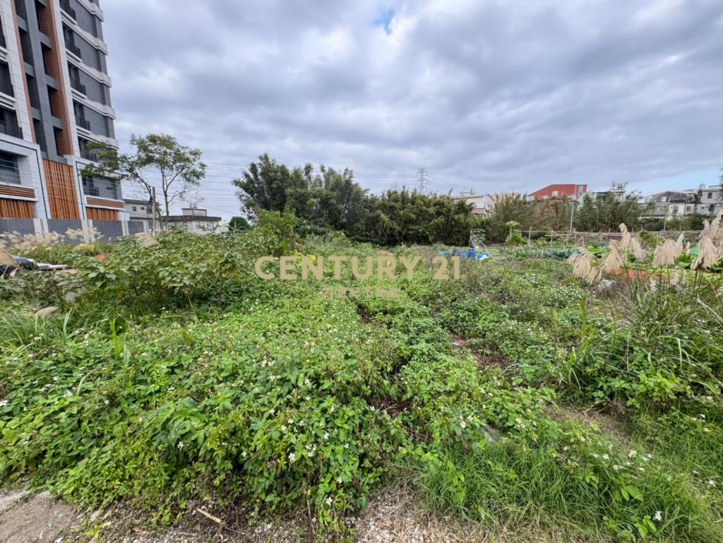 專任龍潭小坪數持分農地成功路近中興商圈