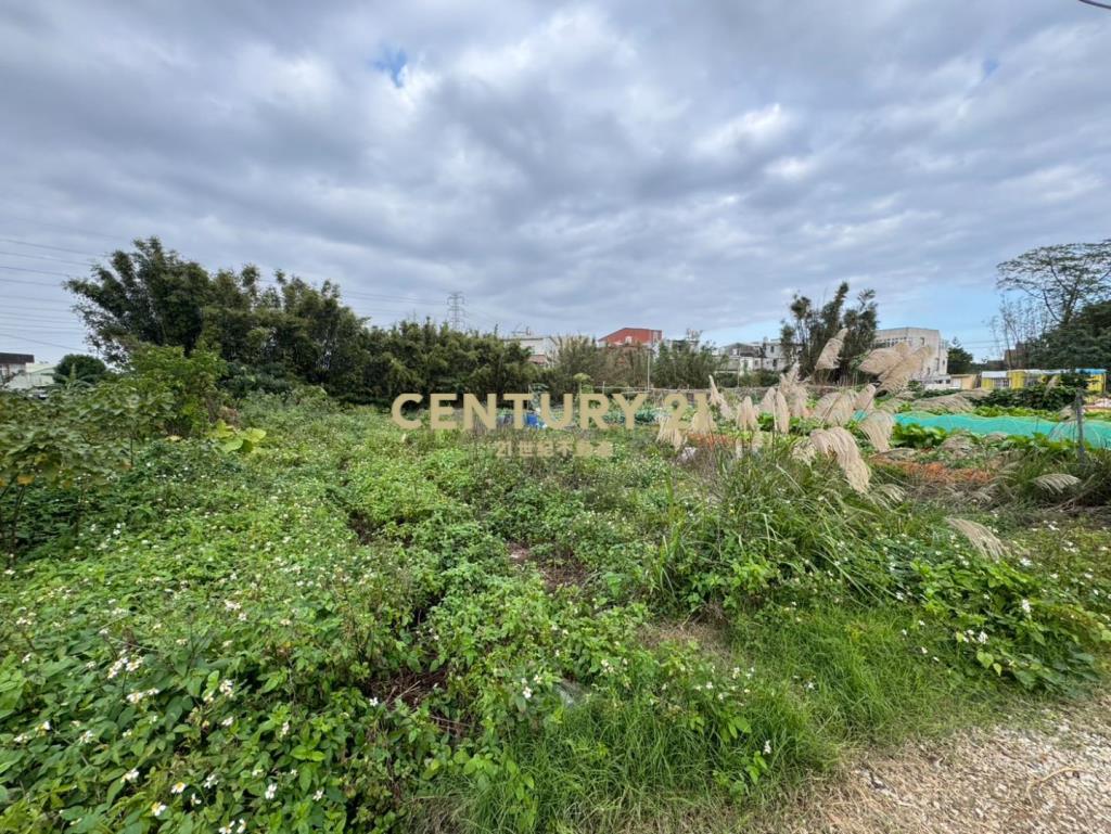 專任龍潭小坪數持分農地成功路近中興商圈