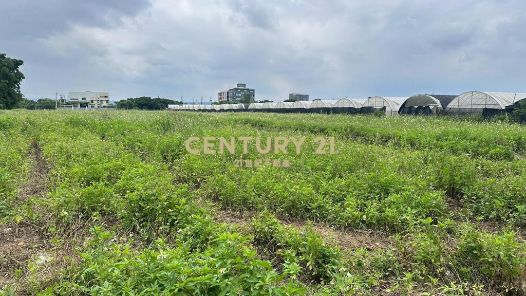 桃園市蘆竹區南青路交通用地（附建照