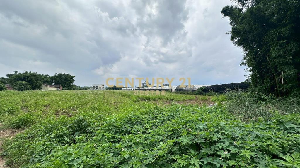 桃園市蘆竹區南青路交通用地（附建照