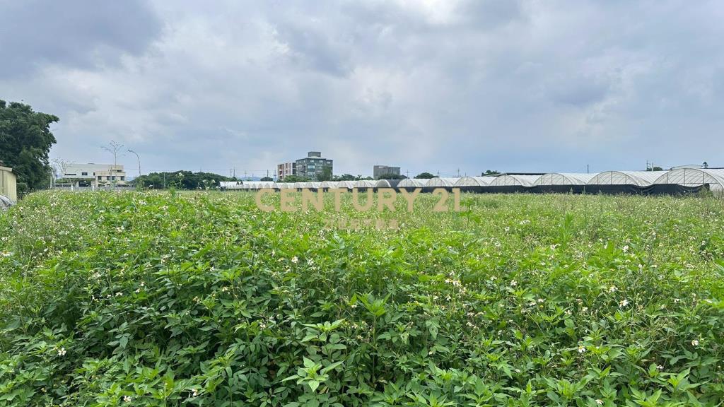 桃園市蘆竹區南青路交通用地（附建照