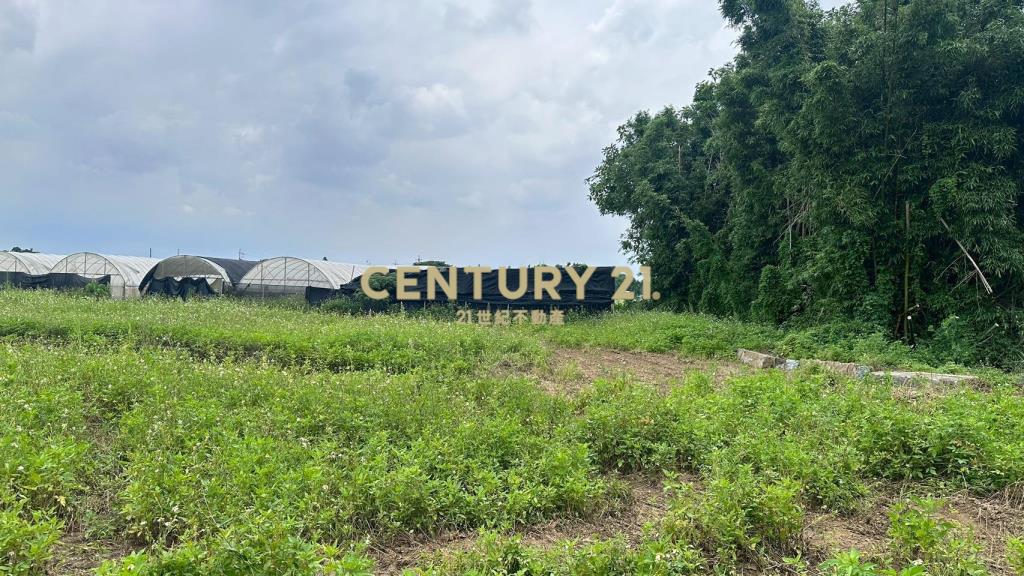 桃園市蘆竹區南青路交通用地（附建照