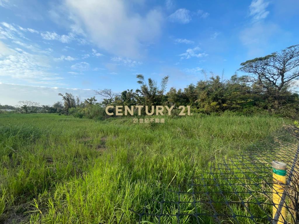 觀音工業區旁一般農地