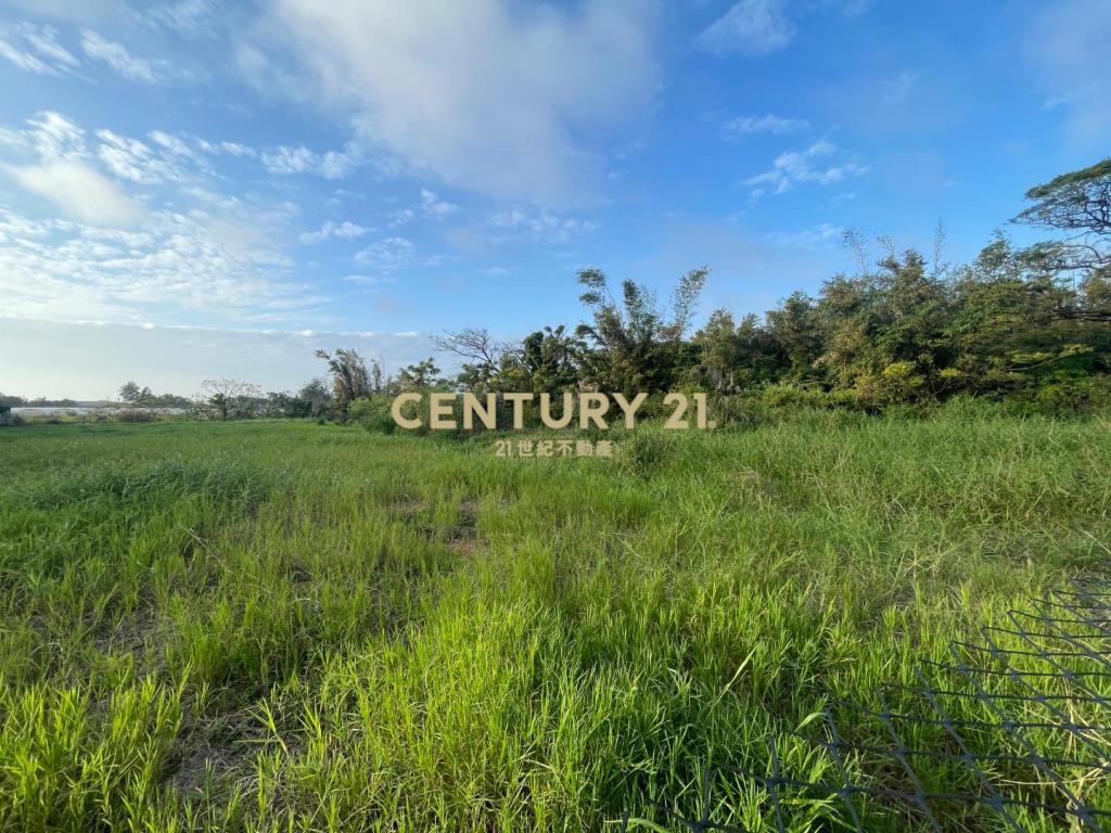 觀音工業區旁一般農地