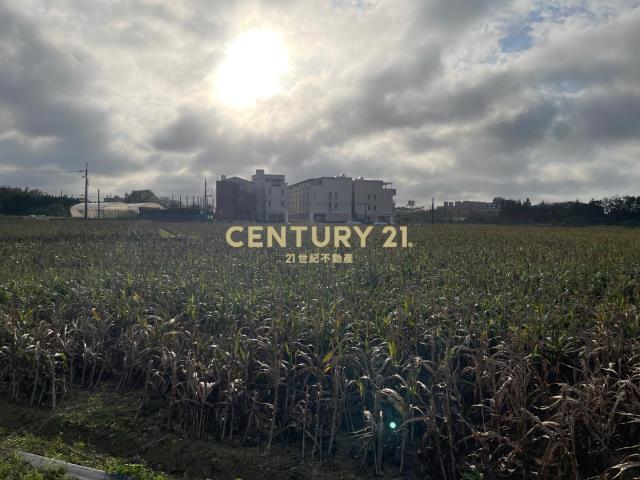 觀音中山路旁雙面路2筆農地