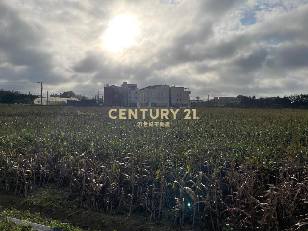 觀音中山路旁雙面路2筆農地