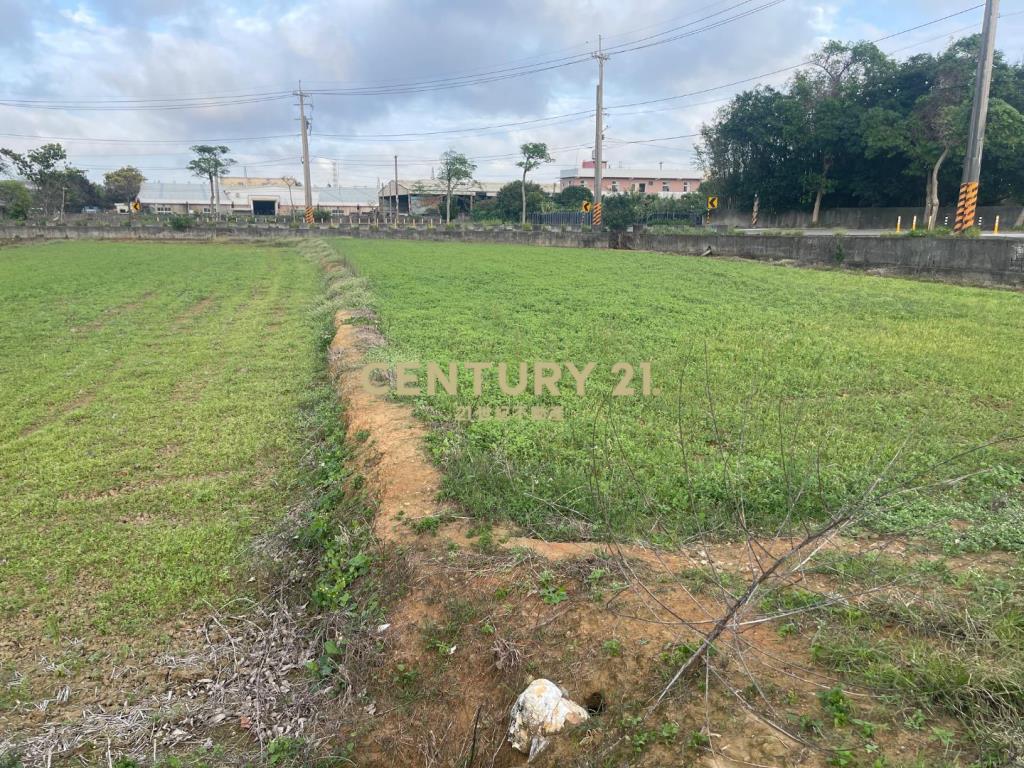 觀音中山路旁雙面路2筆農地