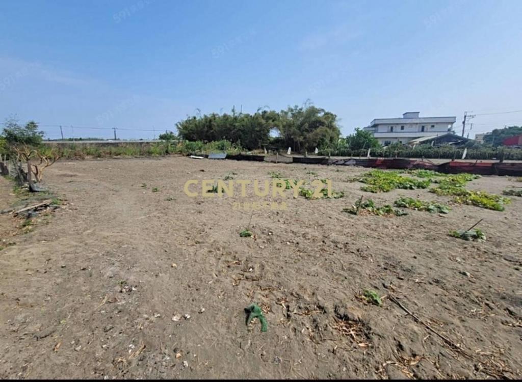 宜蘭縣壯圍鄉壯濱段/稀有農*建(低總價)