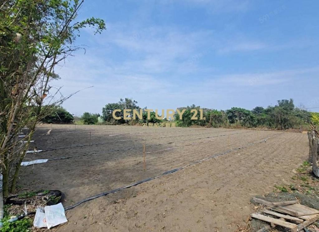 宜蘭縣壯圍鄉壯濱段/稀有農*建(低總價)