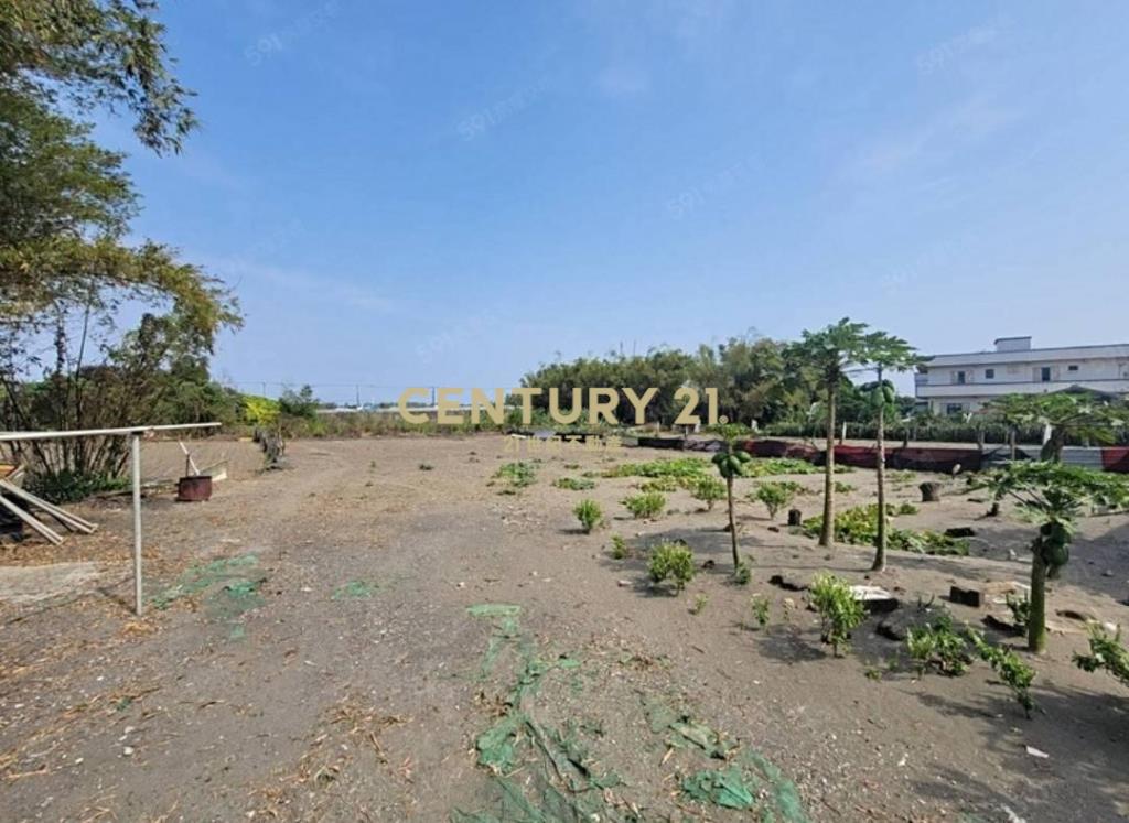 宜蘭縣壯圍鄉壯濱段/稀有農*建(低總價)