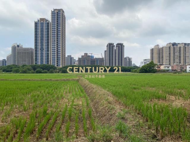 專任㊣聖德路旁農+水利地