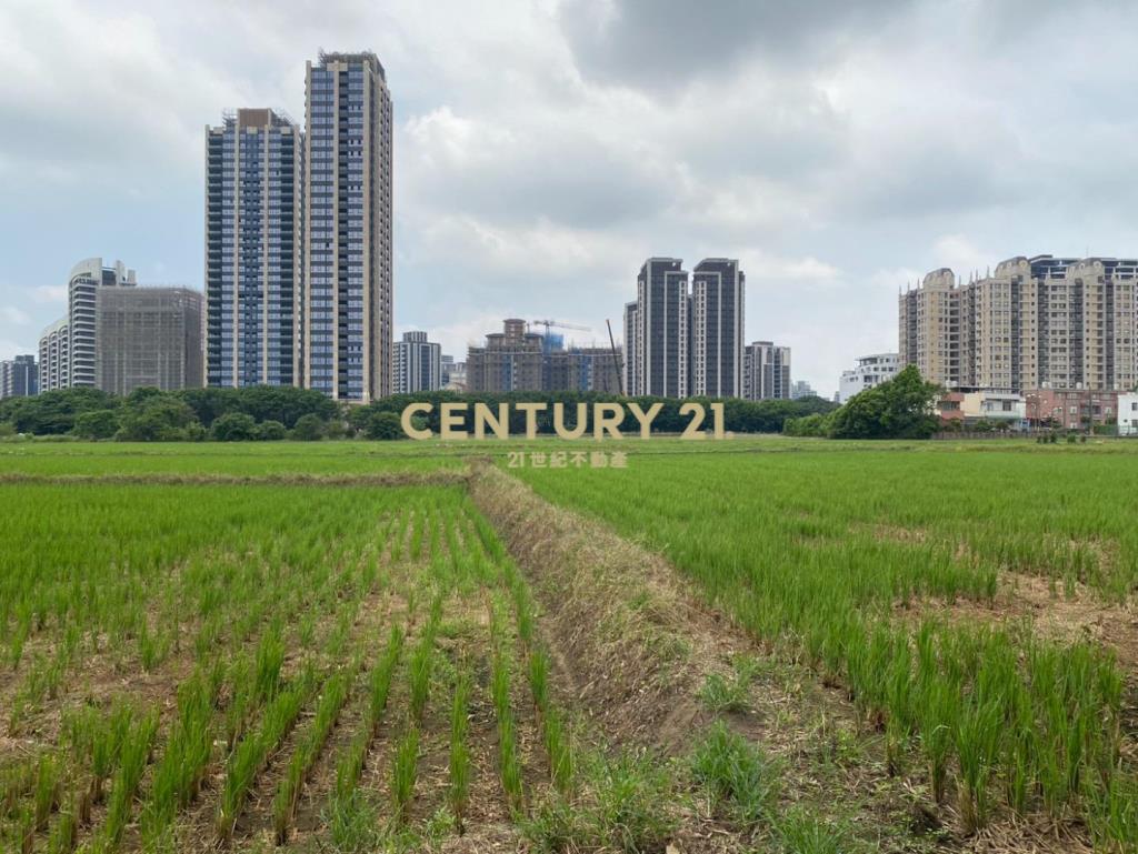 專任㊣聖德路旁農+水利地