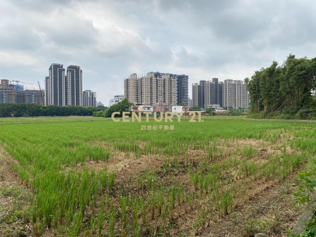 專任㊣聖德路旁農+水利地