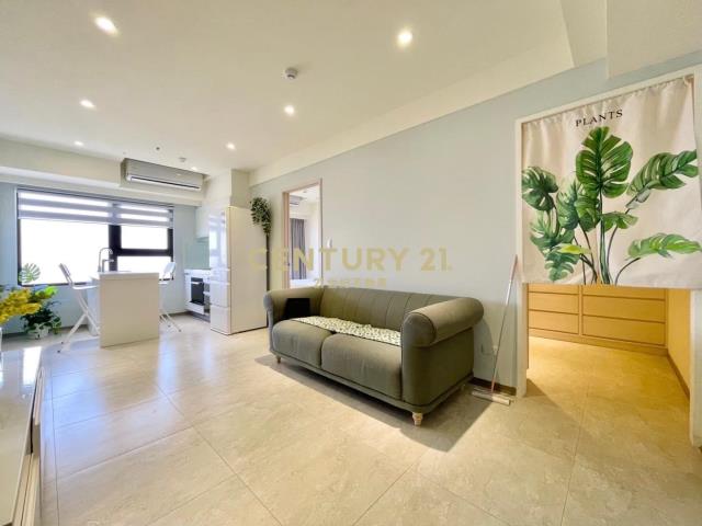 青埔高鐵機捷A18景觀3房+車位國家大院