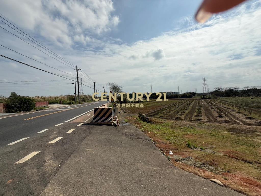 觀音光明段黃金特農土地