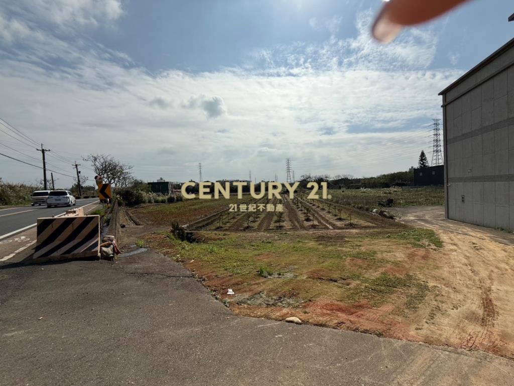 觀音光明段黃金特農土地